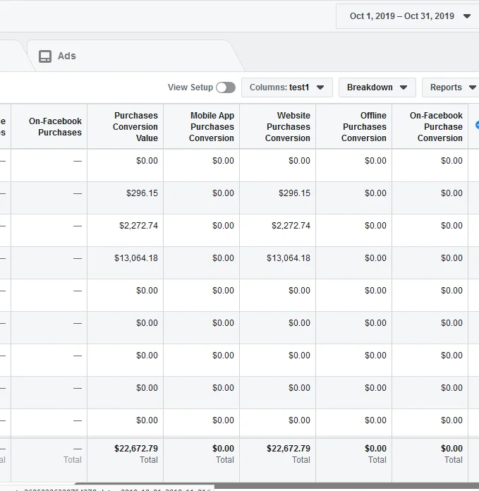 Ads Manager October: $22,672.79 total website purchases conversion value