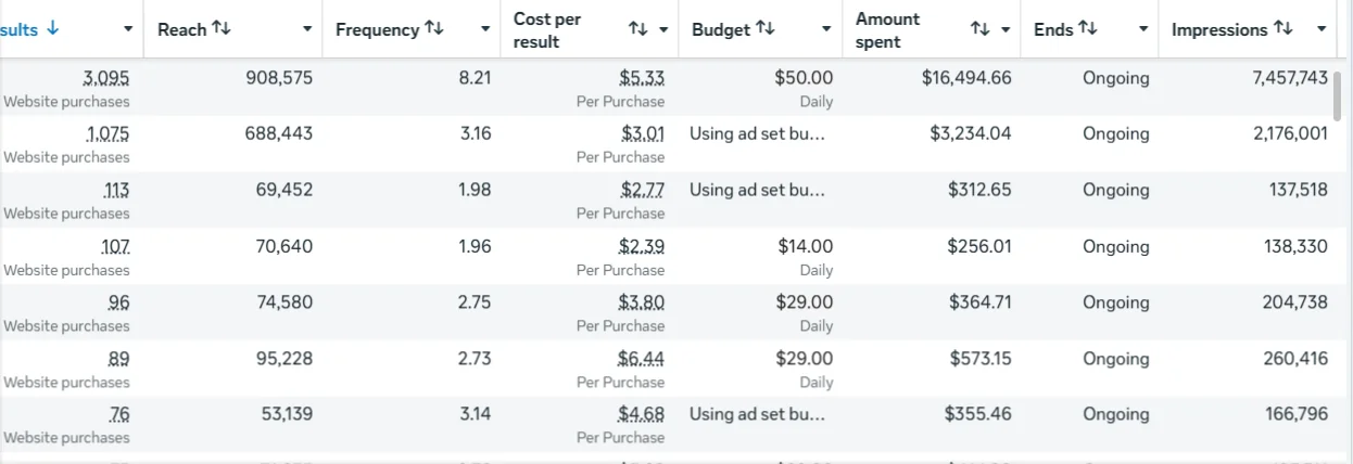 Ads Manager: 3,095 website purchases, $16,494 spent, 7.4M impressions, $5.33 per purchase
